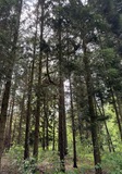 IMG_1319.JPG